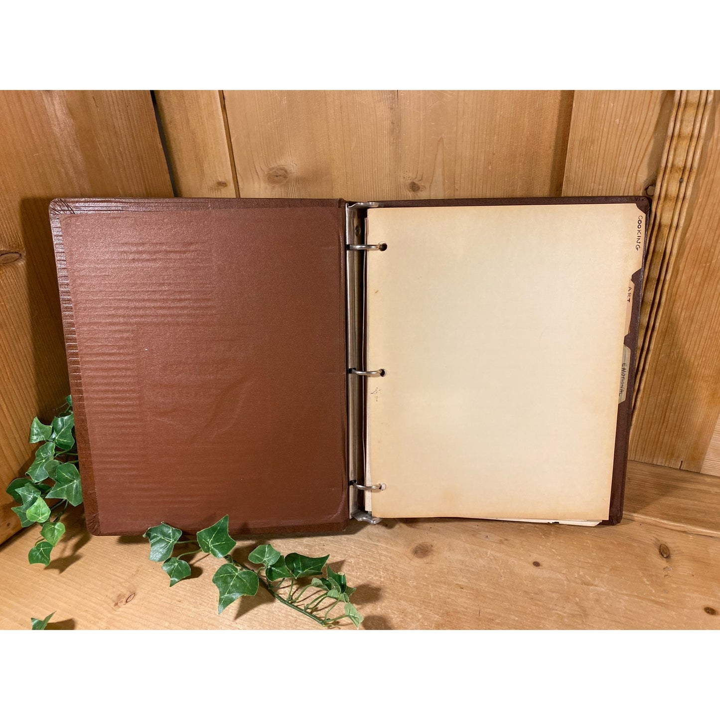 Vintage Three-Ring Binder: United Business & Investment Reports | Handwritten Notes | Vintage Book