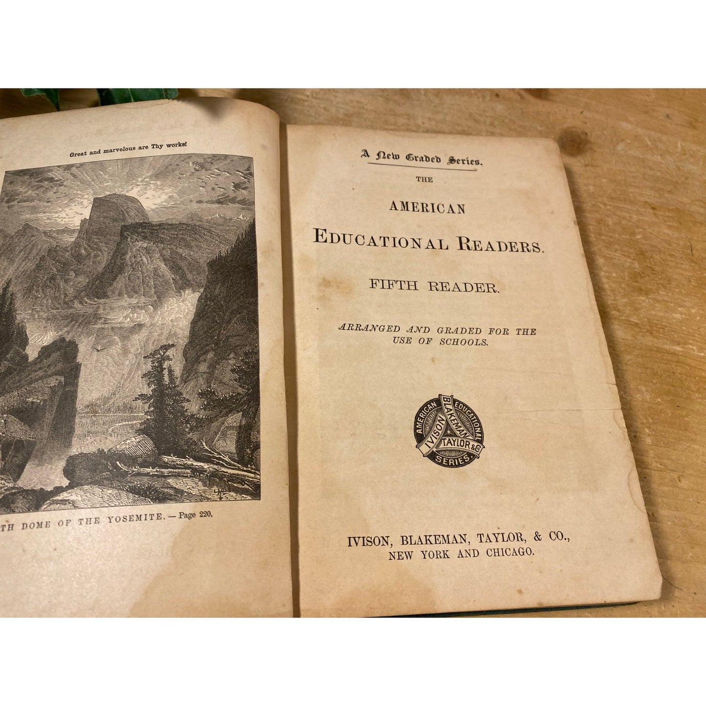 Vintage The American Educational Readers Fifth Reader Hardcover Book | American Book Company | 1873 | Reading Text Book | Antique Reader