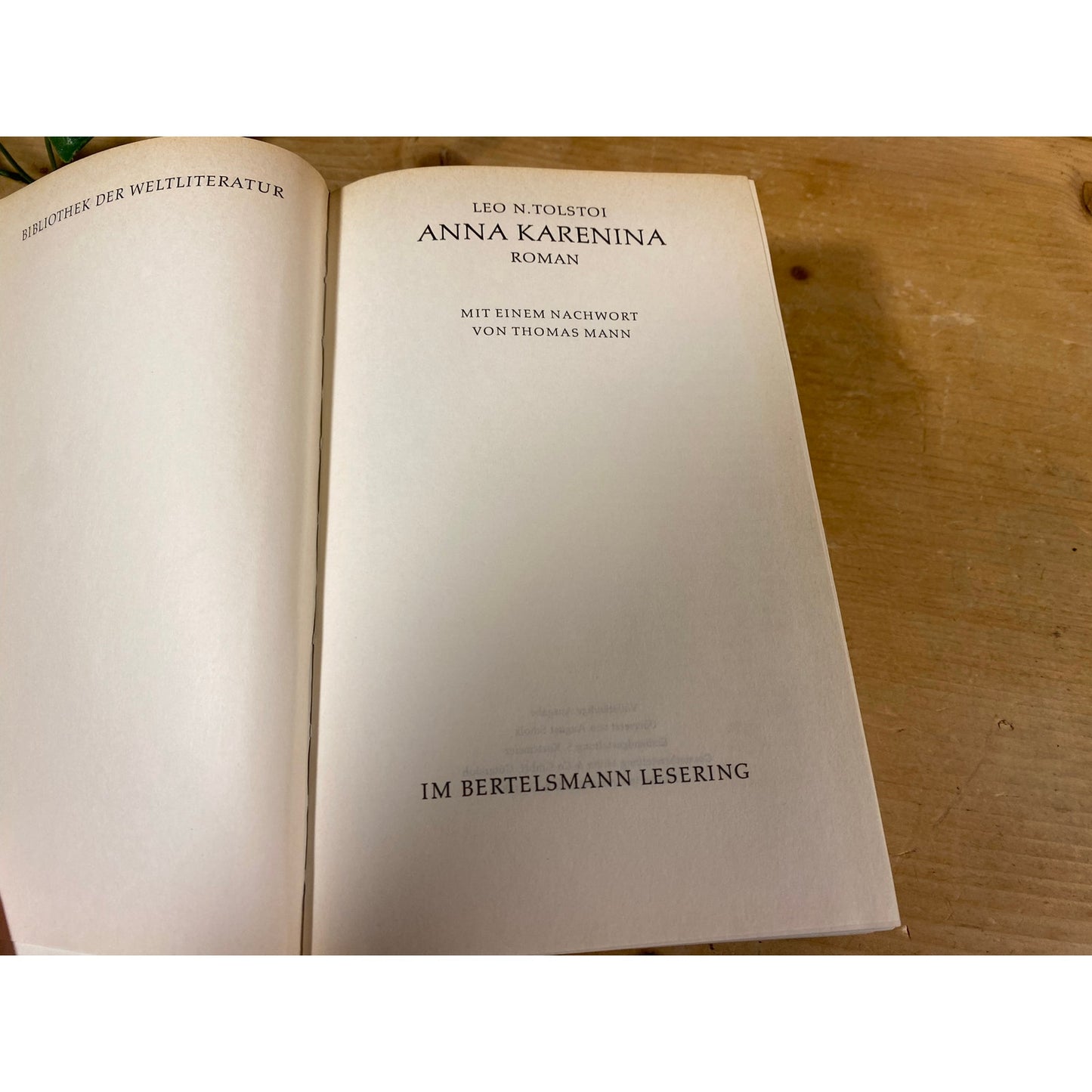 Vintage German HC Book: Anna Karenina | Leo Tolstoi (Tolstoy) | Classic Novel About Imperial Russian Society | German Edition | Russian Lit
