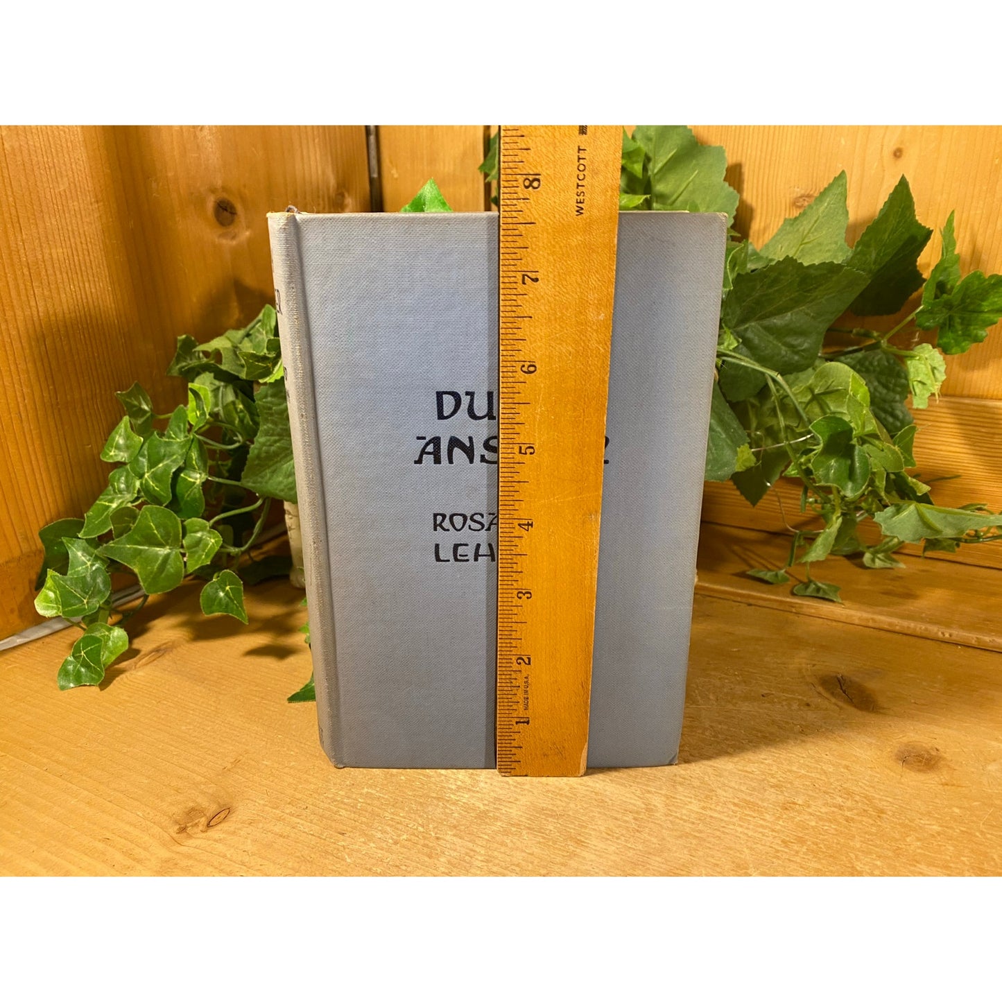 Vintage Book: Dusty Answer | 1927 | Rosamand Lehmann | Henry Holt and Co. | New York | Hardcover Book | Coming of Age | Judith Earle