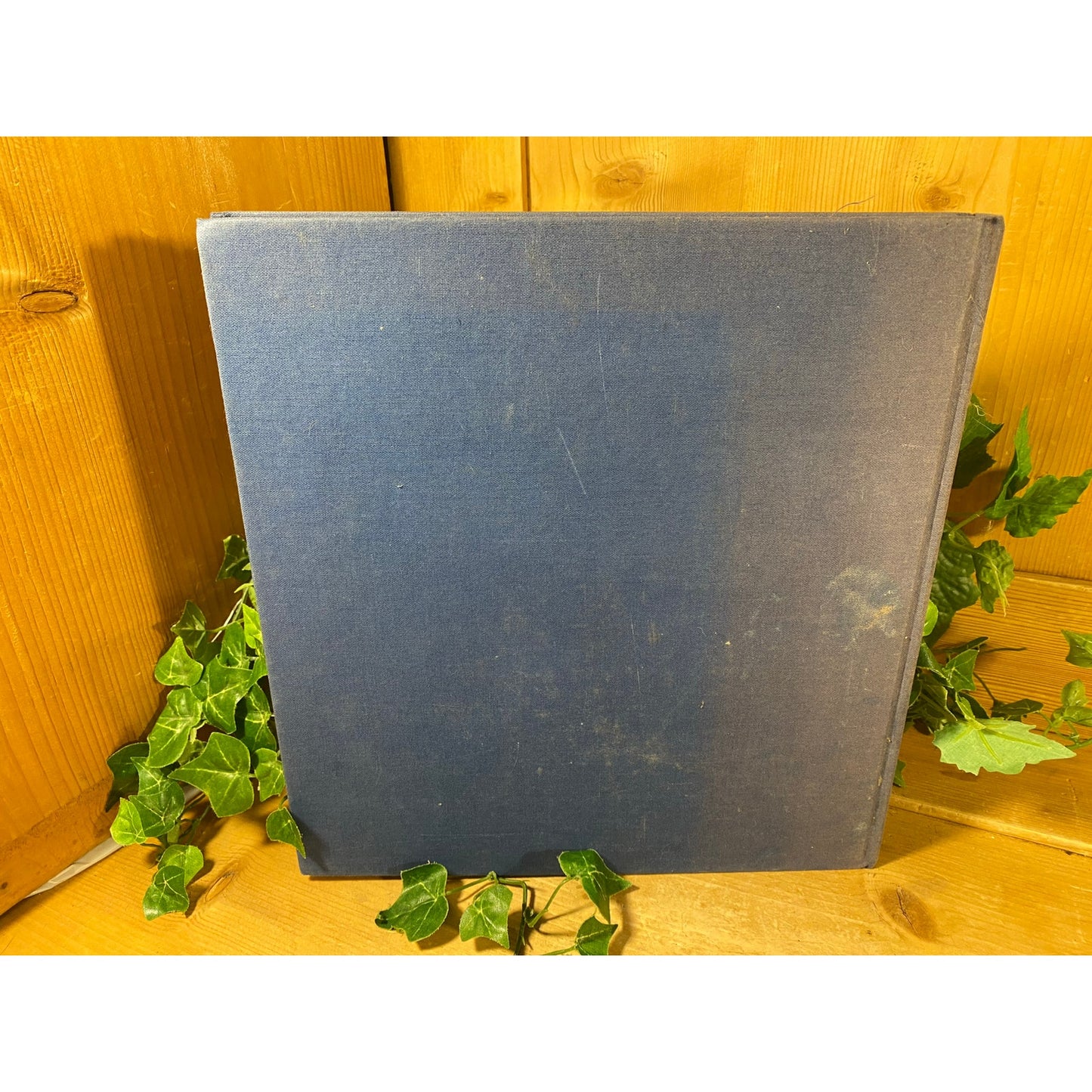 Vintage Art Book: The Vanishing Depot | 1973 | Written and Illustrated by Ranulph Bye | Paintings of Old Train Depots | Blue Hardcover