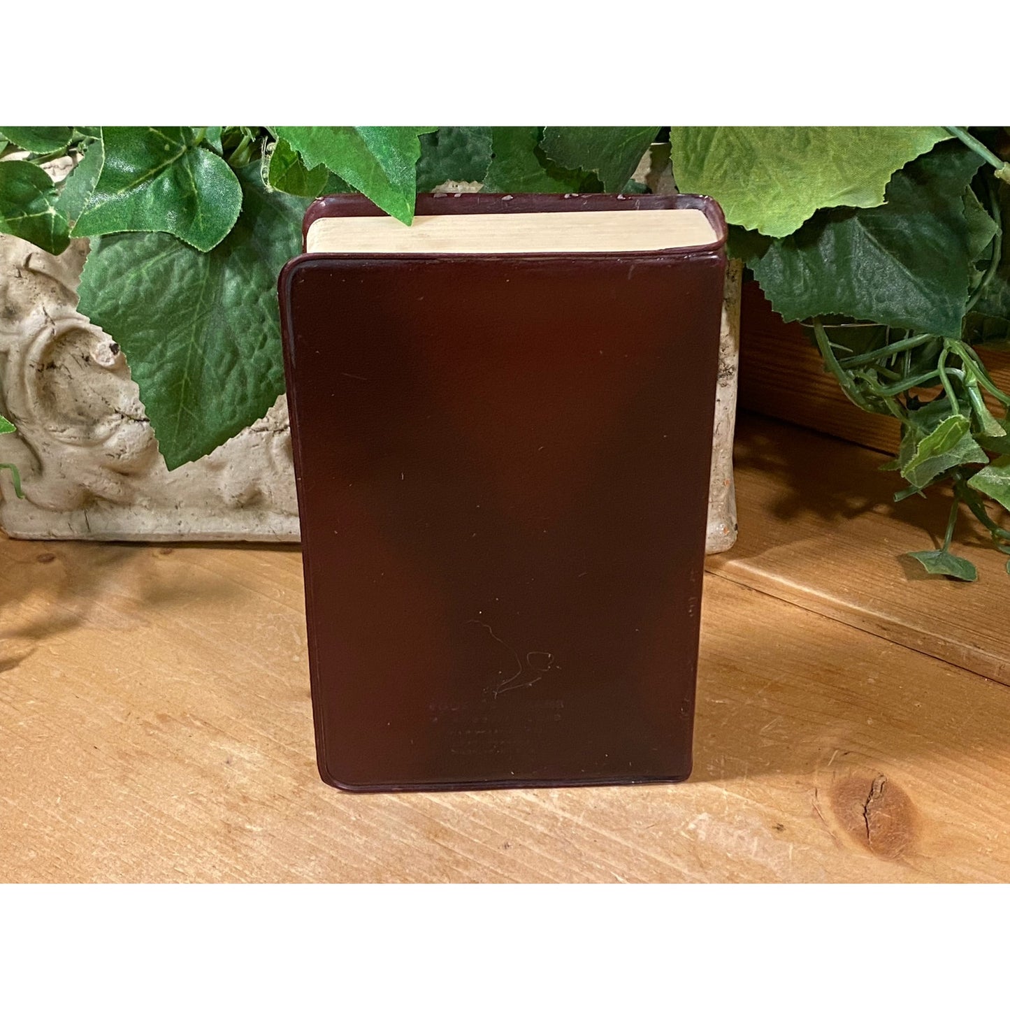 Vintage Union National Bank | "Your Future" Book Shaped Coin Bank (no key) | East St. Louis, Illinois | East Saint Louis Collectible Bank