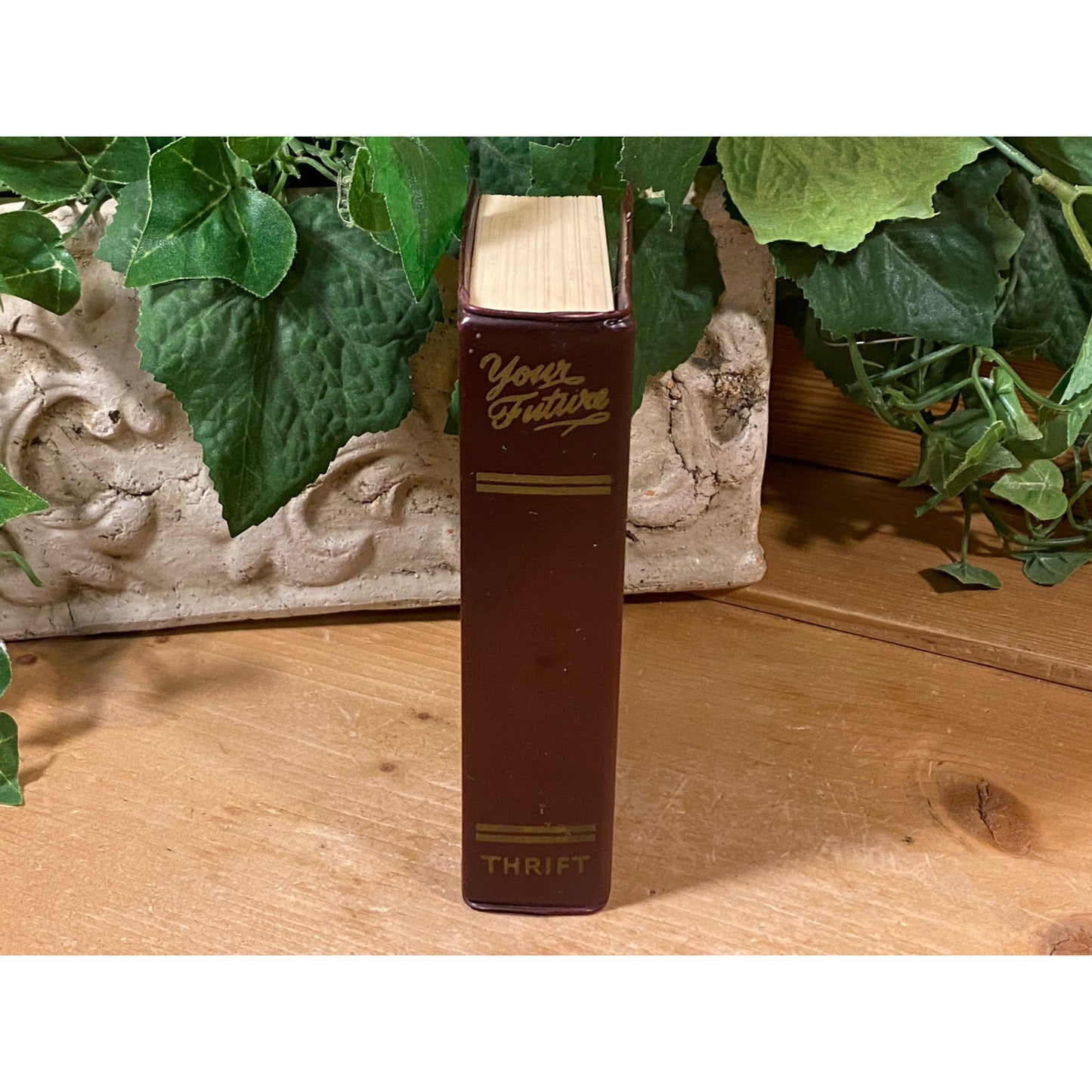 Vintage Union National Bank | "Your Future" Book Shaped Coin Bank (no key) | East St. Louis, Illinois | East Saint Louis Collectible Bank