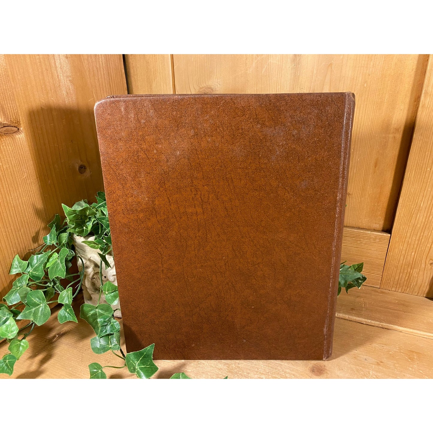 Vintage Three-Ring Binder: United Business & Investment Reports | Handwritten Notes | Vintage Book