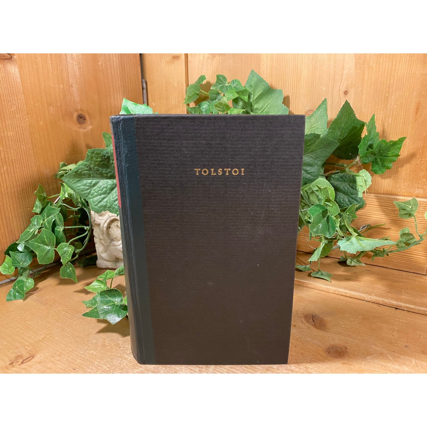 Vintage German HC Book: Anna Karenina | Leo Tolstoi (Tolstoy) | Classic Novel About Imperial Russian Society | German Edition | Russian Lit