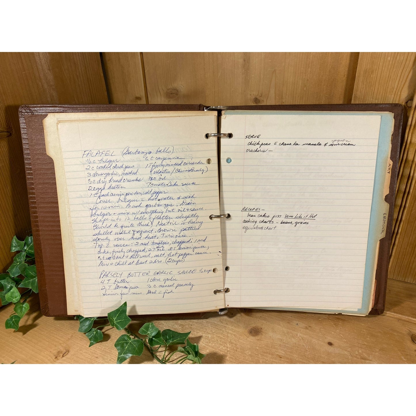Vintage Three-Ring Binder: United Business & Investment Reports | Handwritten Notes | Vintage Book