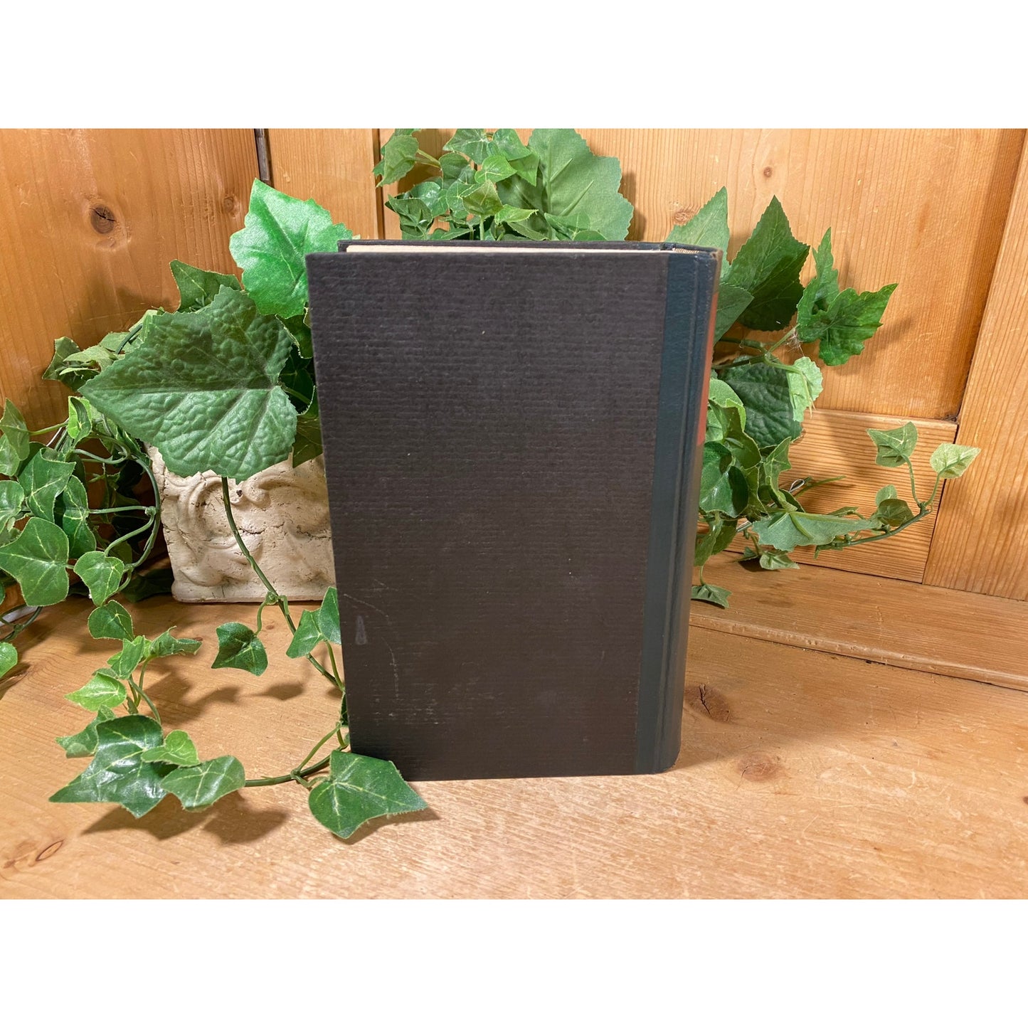 Vintage German HC Book: Anna Karenina | Leo Tolstoi (Tolstoy) | Classic Novel About Imperial Russian Society | German Edition | Russian Lit
