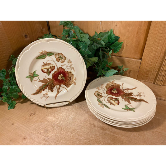 Vintage Clarice Cliff "Georgian Spray" Dinner Plate - Set of 6 | Royal Staffordshire | Newport Pottery Co. | England | Cottagecore Decor