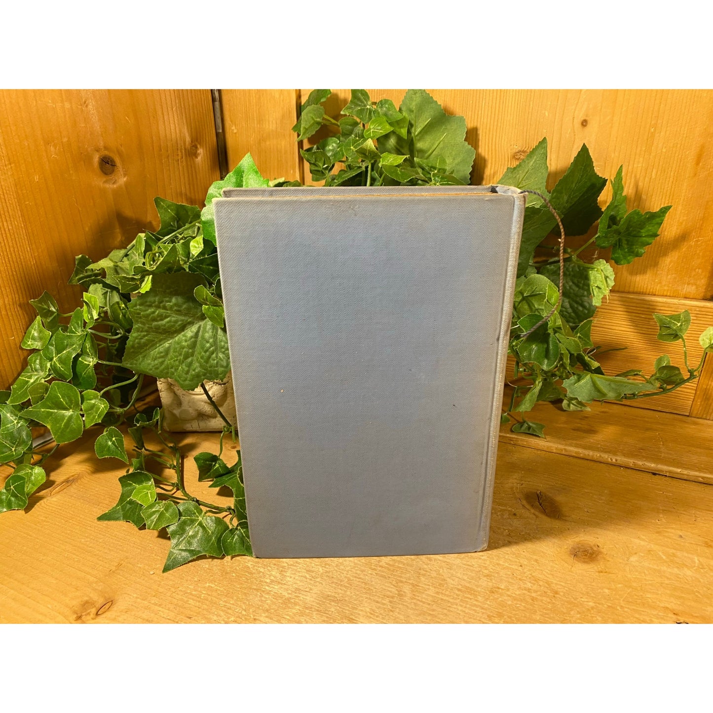 Vintage Book: Dusty Answer | 1927 | Rosamand Lehmann | Henry Holt and Co. | New York | Hardcover Book | Coming of Age | Judith Earle