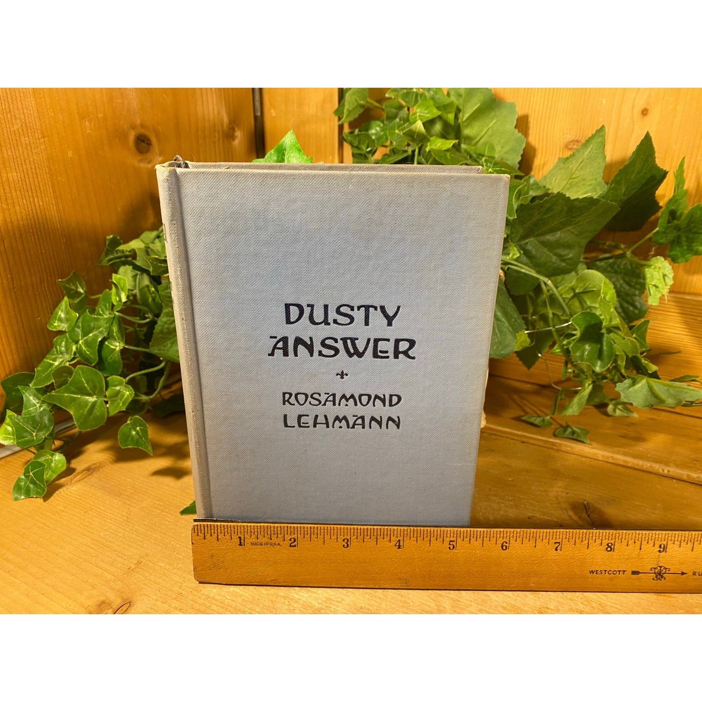 Vintage Book: Dusty Answer | 1927 | Rosamand Lehmann | Henry Holt and Co. | New York | Hardcover Book | Coming of Age | Judith Earle