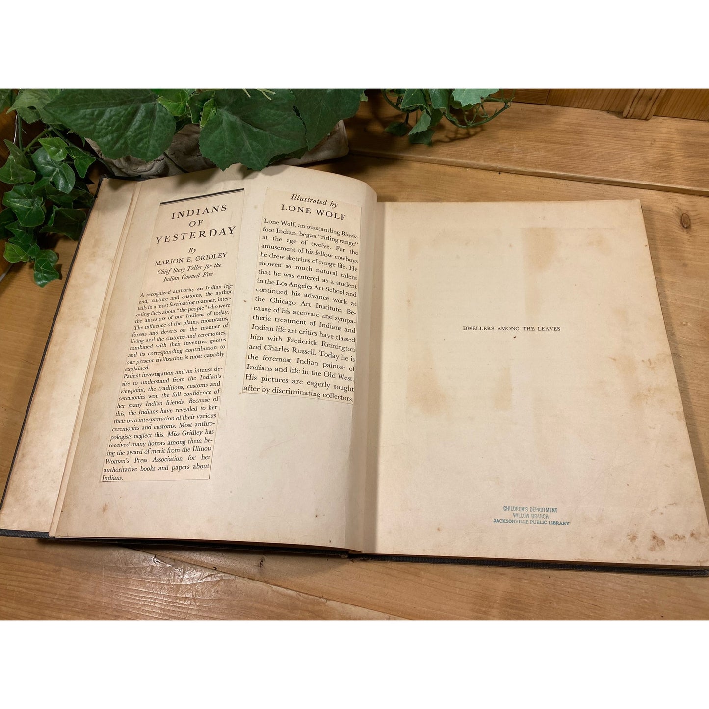 Vintage Book: Indians of Yesterday | 1940 | Written by Marion Gridley | Illustrated by Lone Wolf | History of American Indians | Hardcover