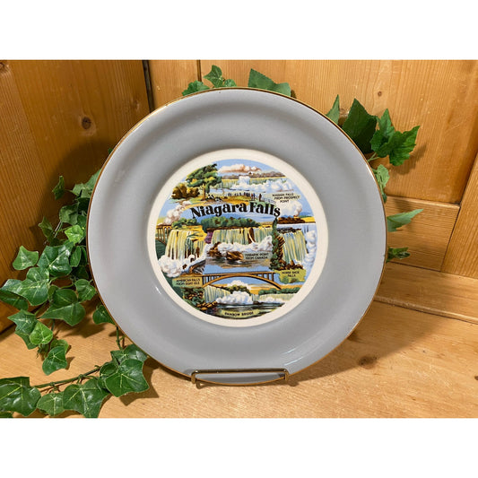 Vintage Souvenir Plate | Niagara Falls | USA Travel Plate | Midcentury Modern Wall Decor | Americana | Collector Plate | Niagara Falls