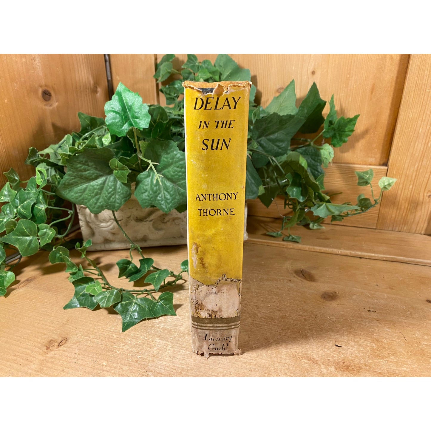 Vintage Book: Delay In the Sun | 1934 | First Edition | Anthony Thorne | Fiction Novel | Hardcover Book | English Tourists Stranded In Spain