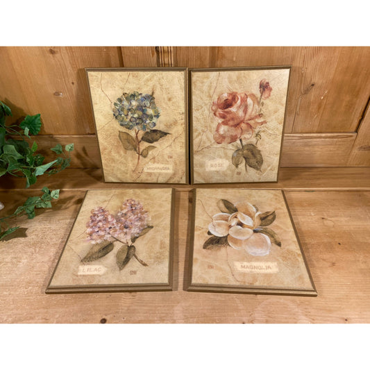 Vintage Cheri Blum Framed Flower Art Prints - Set of 4 | Hydrangea, Magnolia, Lilac Rose | Cottagecore Wall Decor | Framed Floral Art Prints