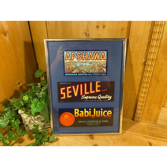 Vintage Framed Florida Oranges Lables | Cottagecore Wall Decor | Vintage Advertising | Florida Oranges Marketing | Vintage Graphic Design