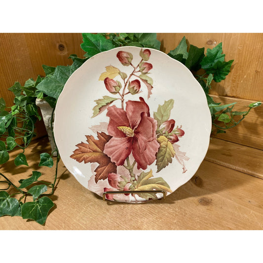 Vintage English Floral China Plate | Cottagecore Table Decor | Rose Pink, Green | Shabby Chic Wall Decor | Vintage Floral China Plate