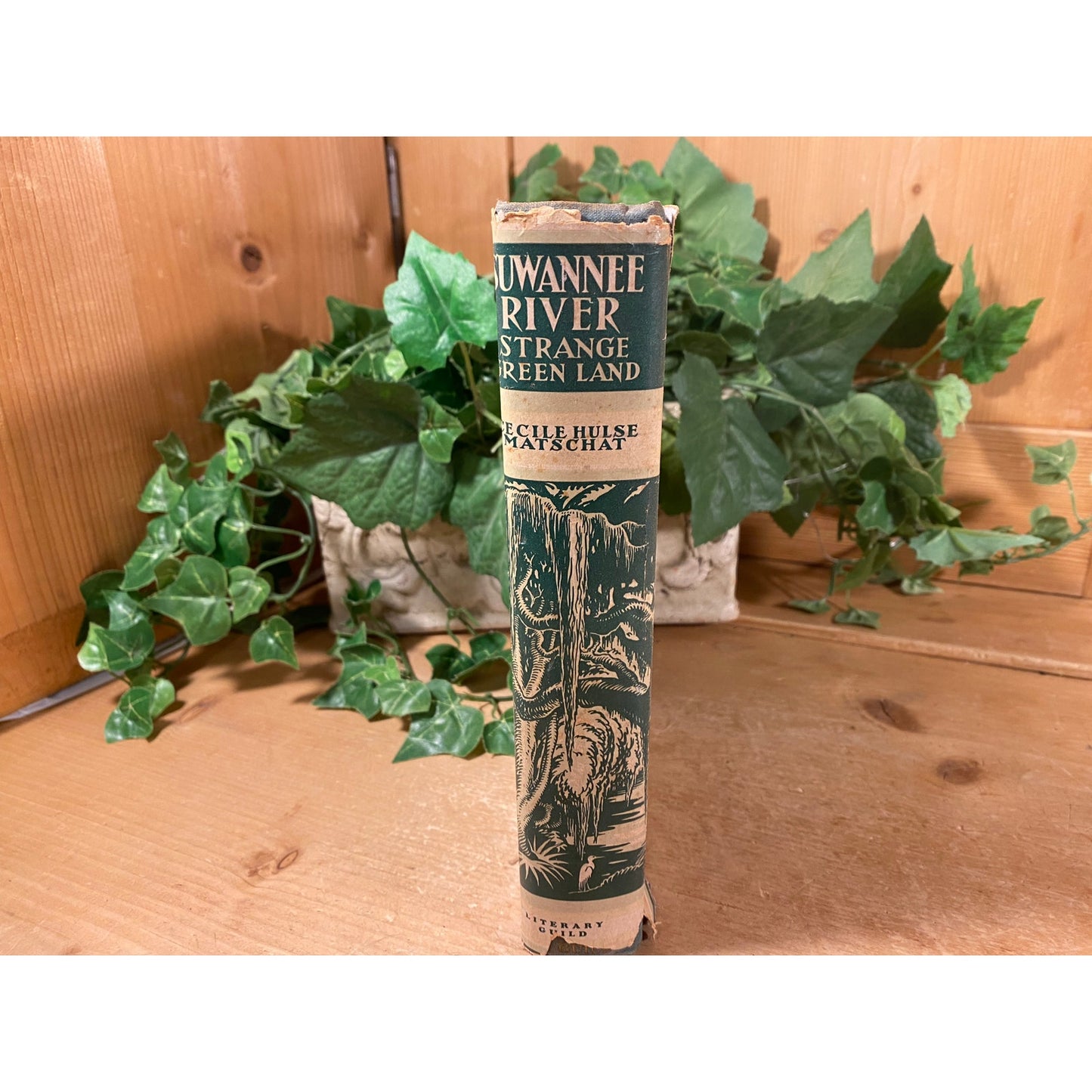 Vintage Book: Suwannee River - Strange Green Land - The Rivers of America | 1938 | Cecile Hulse Matschat | Suwannee River History, Florida