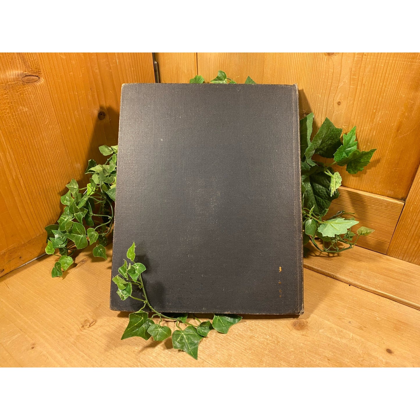 Vintage Book: Indians of Yesterday | 1940 | Written by Marion Gridley | Illustrated by Lone Wolf | History of American Indians | Hardcover