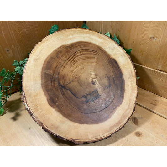 Vintage Walnut Wood Slab Pedestal Plant Stand | Handcrafted Live Edge Round Wood Slab with Feet | Rustic Plant Stand | Forestcore Decor