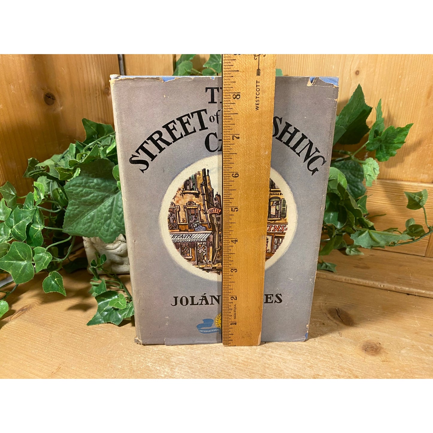 Vintage Book: The Street of the Fishing Cat | Jolan Foldes | 1937 | Fiction Novel | Hardcover Book | Narrow Paris Street Steeped In Legend