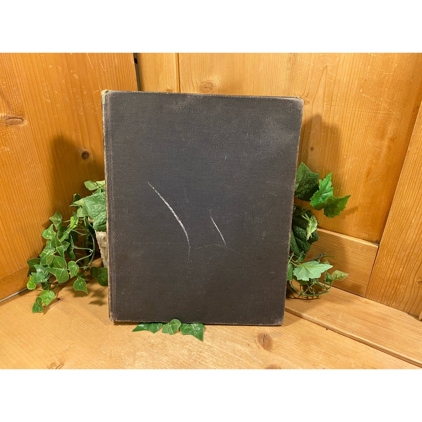Vintage Book: Indians of Yesterday | 1940 | Written by Marion Gridley | Illustrated by Lone Wolf | History of American Indians | Hardcover
