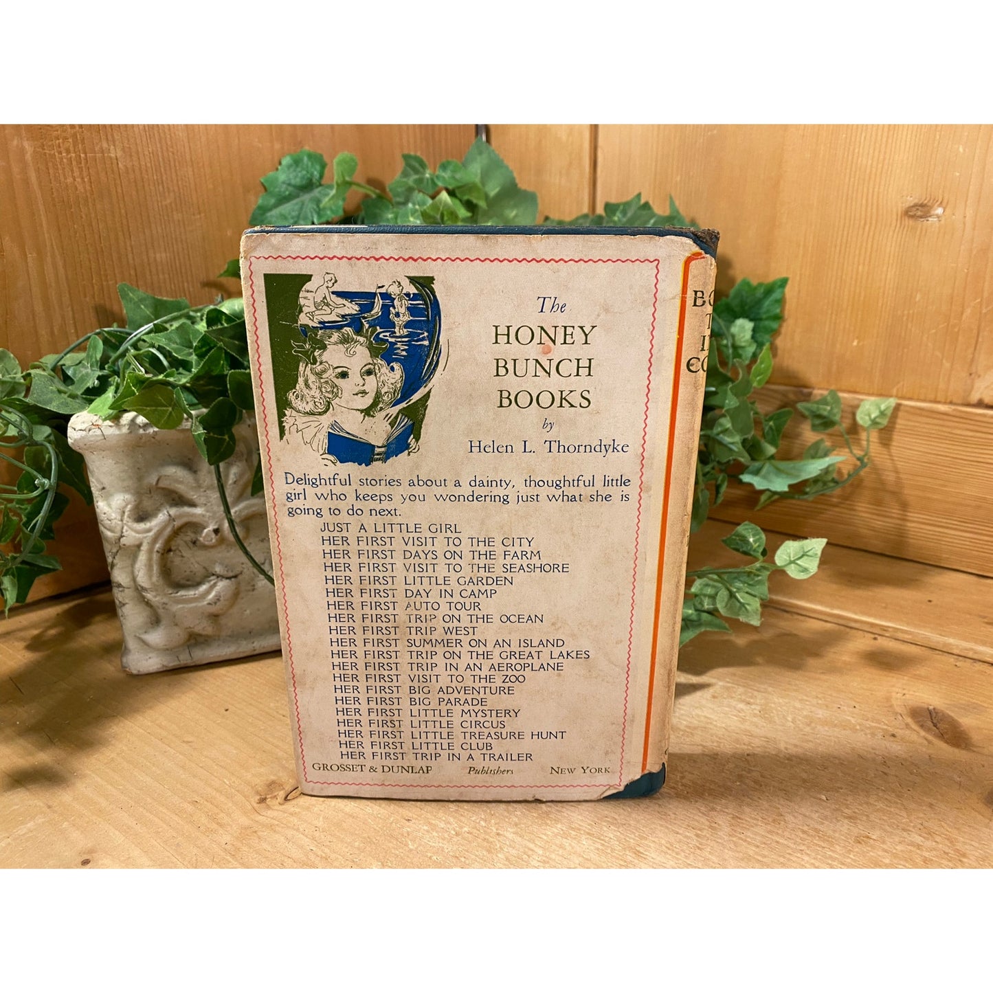 Vintage Book: The Bobbsey Twins In The Country | Laura Lee Hope | Young Adult Novel | Hardcover Book | 1950s Adventures of The Bobbsey Twins