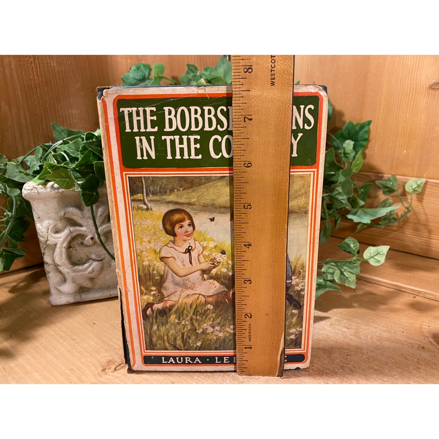 Vintage Book: The Bobbsey Twins In The Country | Laura Lee Hope | Young Adult Novel | Hardcover Book | 1950s Adventures of The Bobbsey Twins
