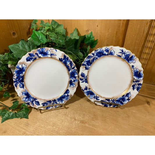 Vintage Blue Floral China Plates - Set of 2 | Royal Doulton | Burslem | Cottagecore Decor | Victorian Table Decor | White and Blue Floral