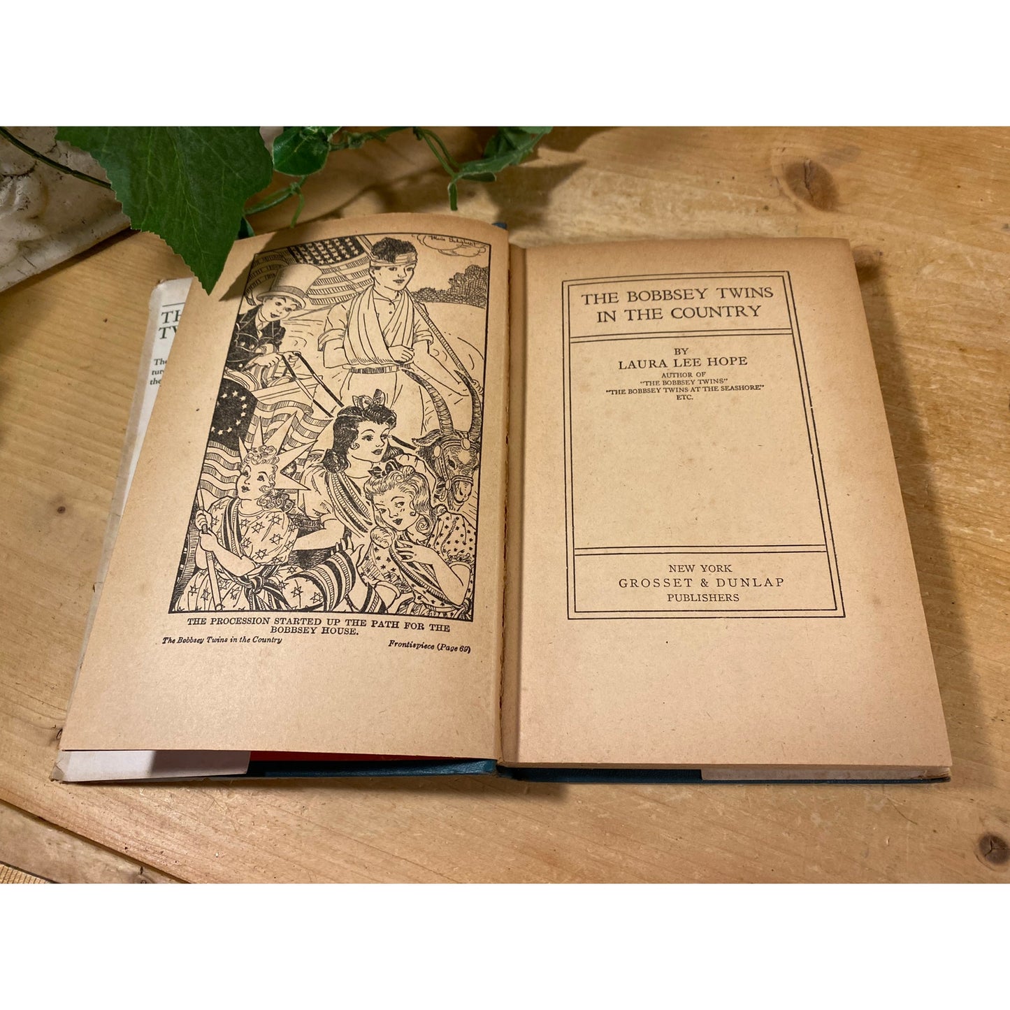 Vintage Book: The Bobbsey Twins In The Country | Laura Lee Hope | Young Adult Novel | Hardcover Book | 1950s Adventures of The Bobbsey Twins