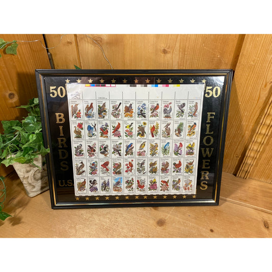 Vintage Framed Sheet of 50 State Birds and Flowers Stamps | 20 Cents | Collectible 1980s US Stamps | Academia Wall Decor | Stamp Collector