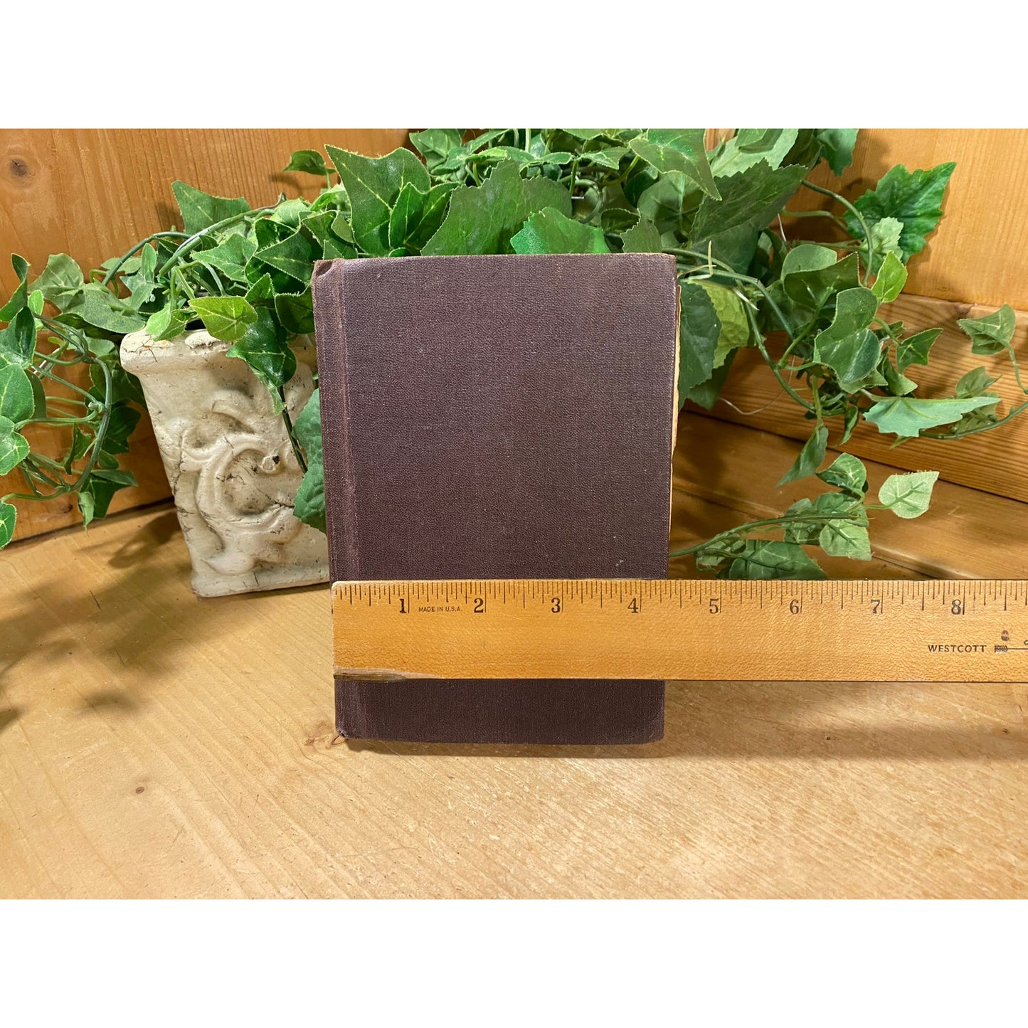 Vintage Book: Silver Pennies - A Collection of Modern Poems For Boys and Girls | 1932 | Poetry | Central Park | Blanche Jennings Thompson