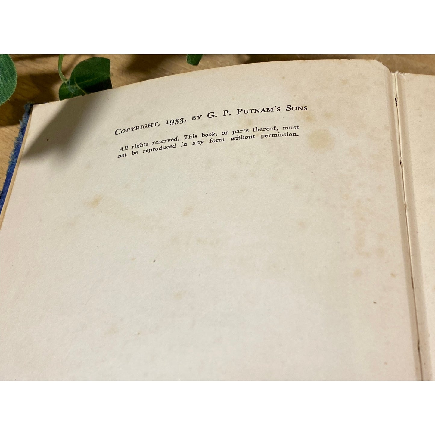 Vintage Book: The Last Slaver | Dr. George S. King | 1933 | Hardcover Book | Historical Fiction Based On A True Account of A Slave Ship