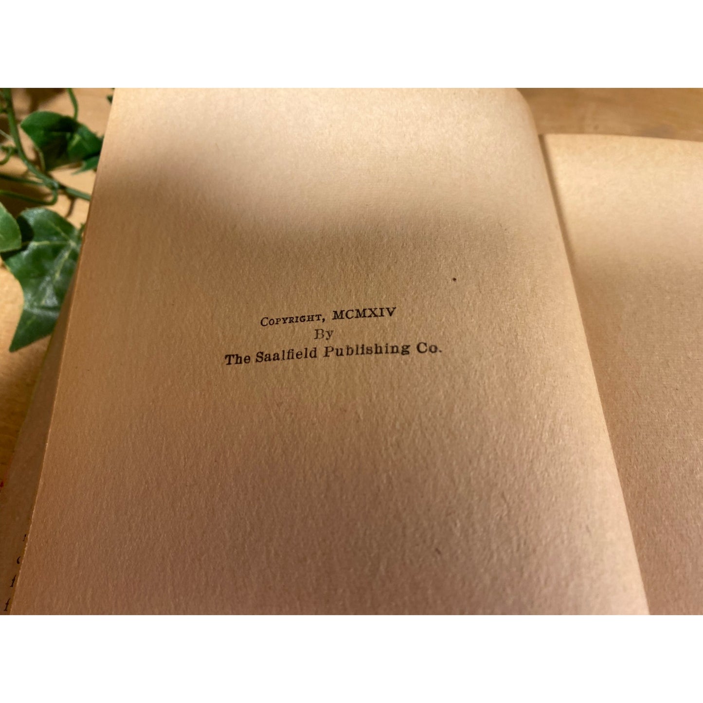 Vintage Book: The Lilac Lady | 1937 | Ruth Brown MacArthur | Fiction Novel | Hardcover Book | Greenfield Sisters | Saalfield Publishing