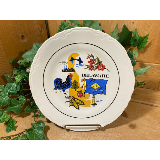 Vintage Souvenir Plate | Delaware | USA Travel Plate | Midcentury Modern Wall Decor | Americana | Collector Plate | Delaware  Souvenir Plate
