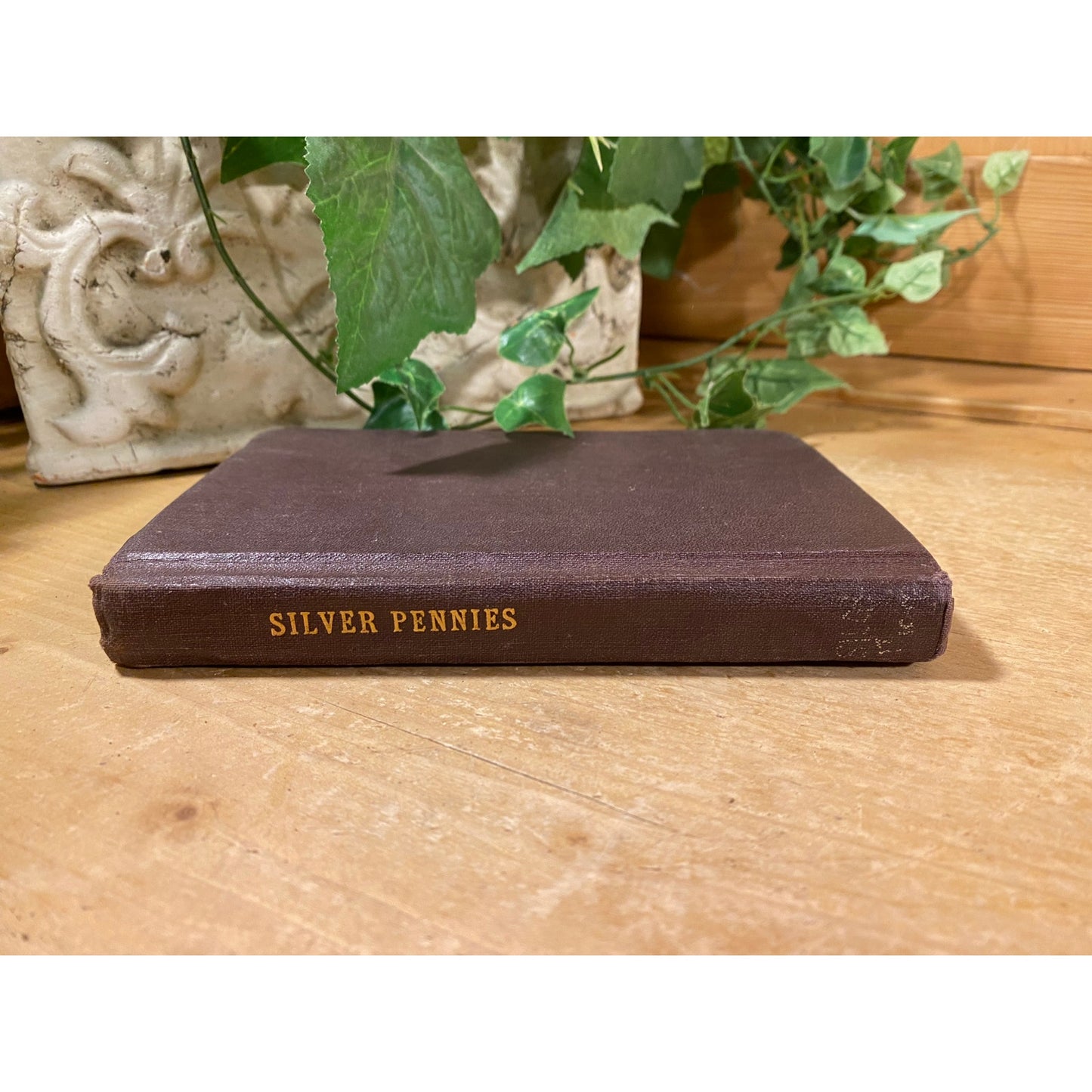 Vintage Book: Silver Pennies - A Collection of Modern Poems For Boys and Girls | 1932 | Poetry | Central Park | Blanche Jennings Thompson